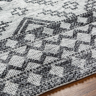 Bram Area Rug