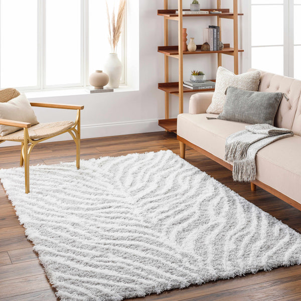 Baran Zebra Print Shag Area Rug