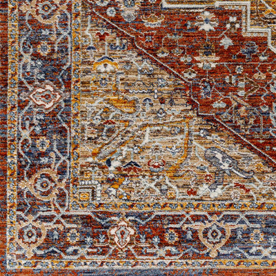 Baro Area Rug - Clearance