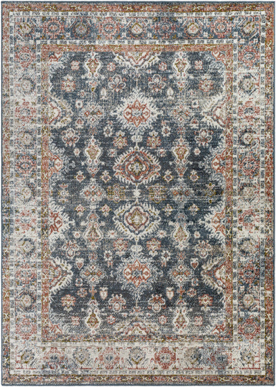 Ilinge Gray & Brown Traditional Area Rug - Clearance