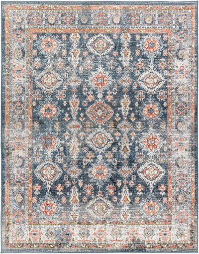 Ilinge Gray & Brown Traditional Area Rug - Clearance