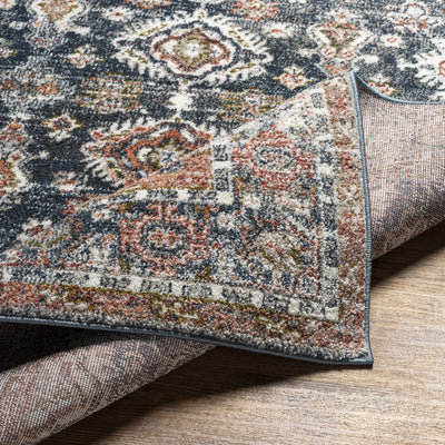 Ilinge Gray & Brown Traditional Area Rug - Clearance