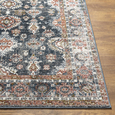 Ilinge Gray & Brown Traditional Area Rug - Clearance