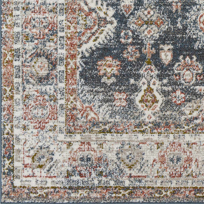 Ilinge Gray & Brown Traditional Area Rug - Clearance