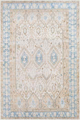 Close-up of the Buayan Washable Area Rug. Features traditional oriental rug patterns in cloud gray, light gray, and multi-brown. Design-Rectangle-576