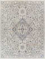 Detailed view of the Buguey Area Rug featuring a traditional, oriental pattern in cream, denim, and brick red tones. Design-Rectangle-71010