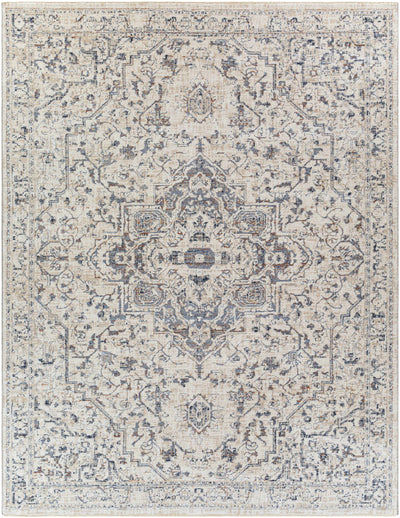 Buguey Area Rug - Clearance