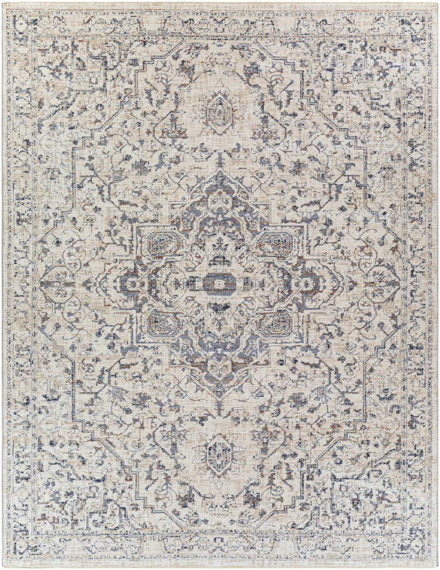 Buguey Area Rug - Clearance