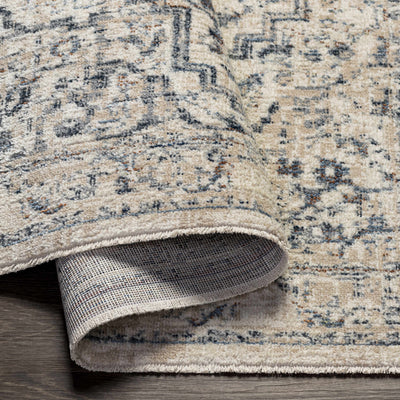 Buguey Area Rug - Clearance