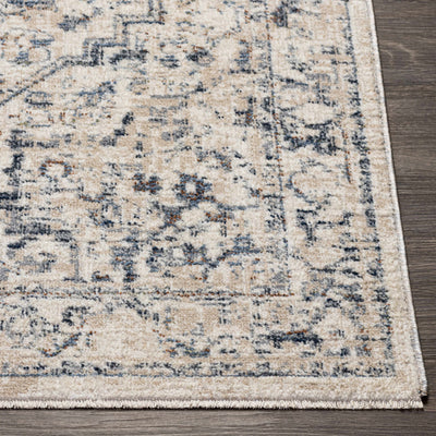 Buguey Area Rug - Clearance