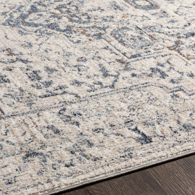 Buguey Area Rug - Clearance