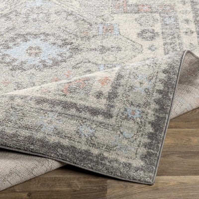 Burham Area Rug - Clearance