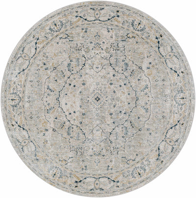 Bushnell Boutique Area Rug