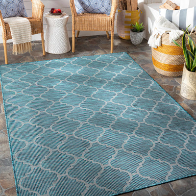 Unique Outdoor Trellis Area Rug, Teal - Clearance
