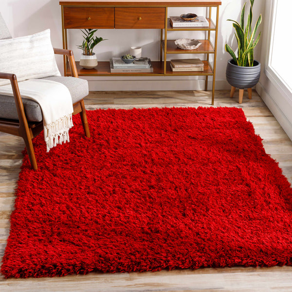 Leather Shag Area Rug, retailer Red, 4' x 6'