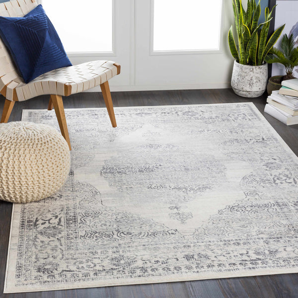 Caloundra 7x9 Distressed Medallion Area Rug - Clearance