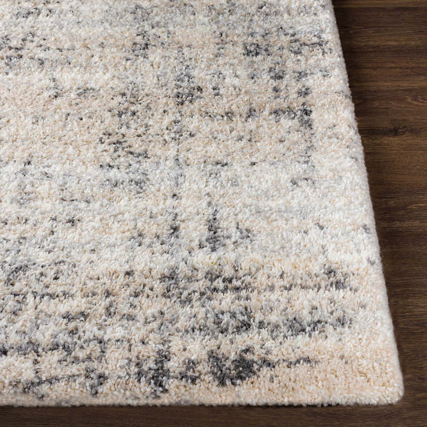 Close up of the Calsib Area Rug showing its cream, light beige, and black shag texture on a dark wood floor. Front