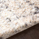 Close-up of the Calsib Area Rug, a shag rug in cream, light beige, and black, showing texture. Texture
