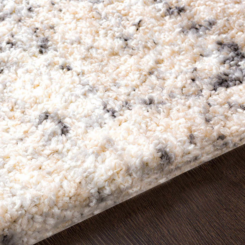 Close-up of the Calsib Area Rug, a shag rug in cream, light beige, and black, showing texture. Texture