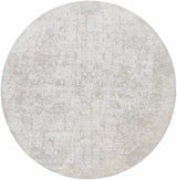 Canaseraga Area Rug - Clearance