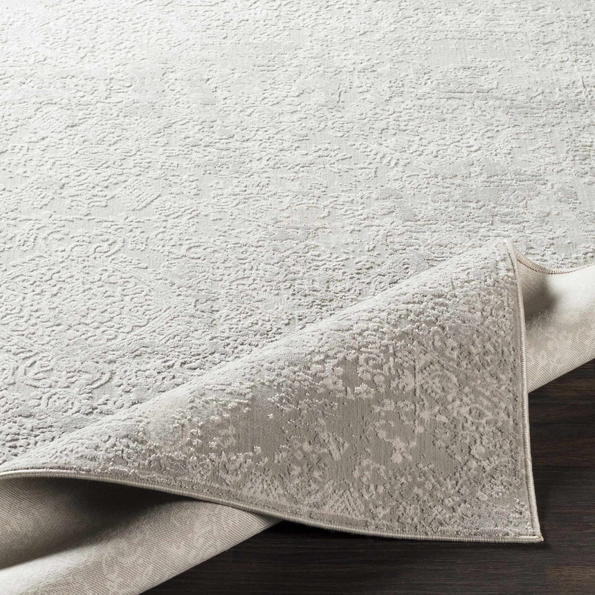 Canaseraga Area Rug - Clearance