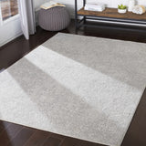 Canaseraga Area Rug - Clearance