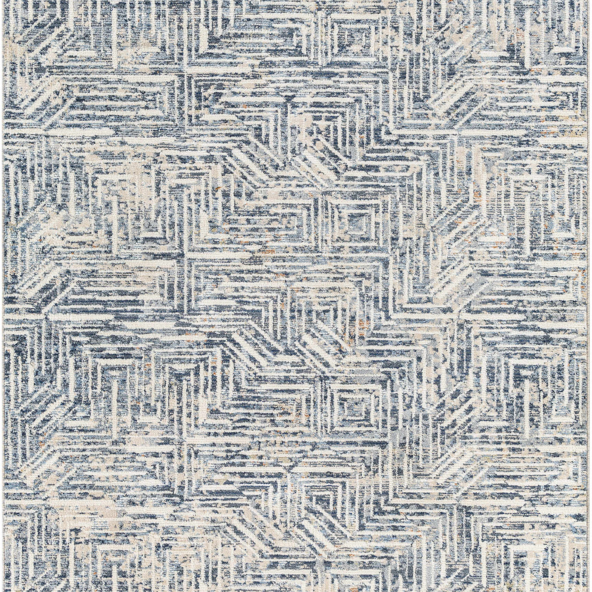 Capaga Area Rug - Clearance – Boutique Rugs