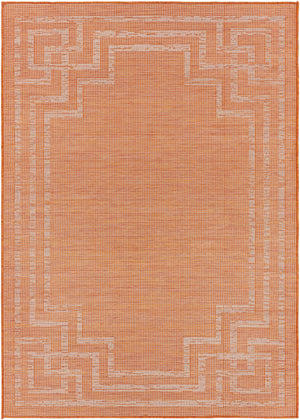 Caravonica Flatweave Area Carpet - Clearance