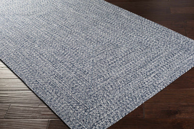 Blue Braided Faux Jute Rug