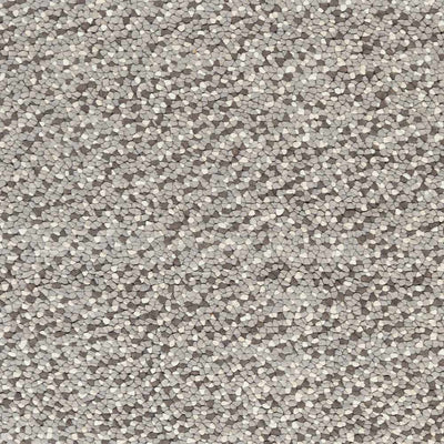 Carlotta Area Carpet - Clearance