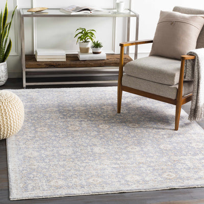 Carlton Pale Blue Area Rug - Clearance