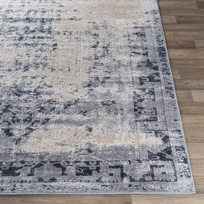 Cattaraugus Area Rug - Clearance