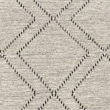 Catablan Area Rug - Clearance
