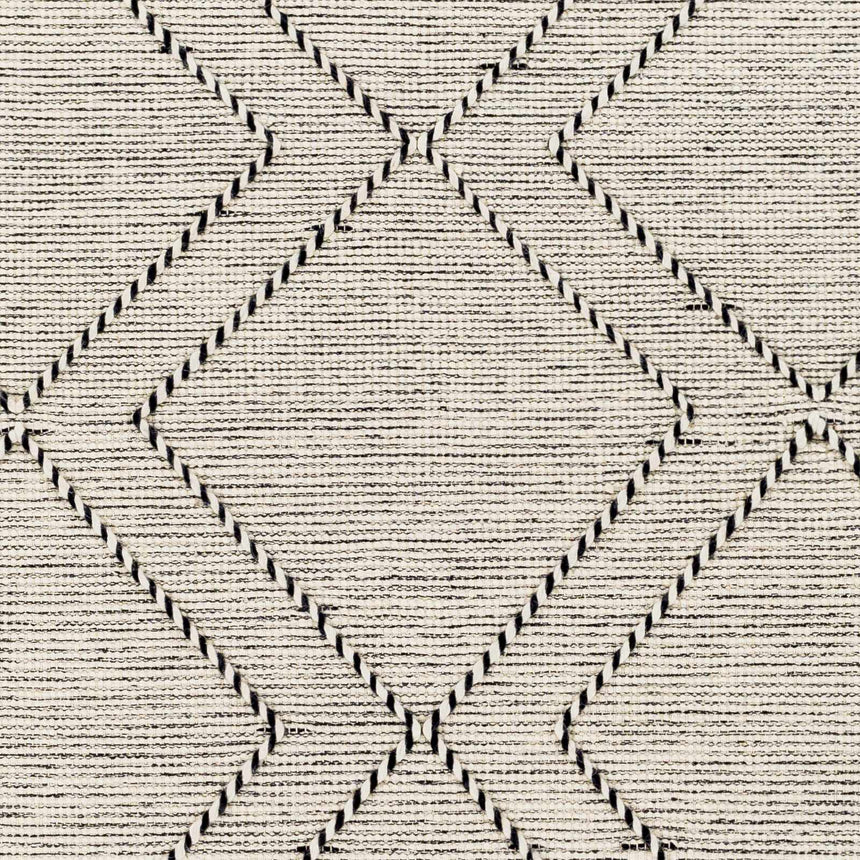 Catablan Area Rug - Clearance
