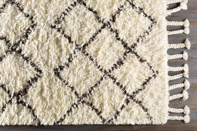 Catoosa White/Black Trellis Wool Rug - Clearance