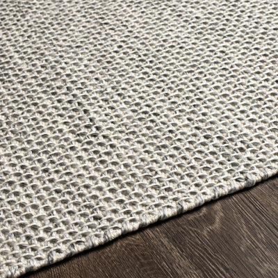 Cawston Flatweave Performance Rug