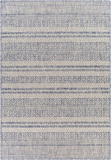 Cervantes Indoor & Outdoor Rug - Clearance