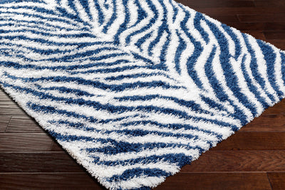 Chaim Zebra Print Shag Area Rug