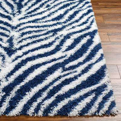 Chaim Zebra Print Shag Area Rug