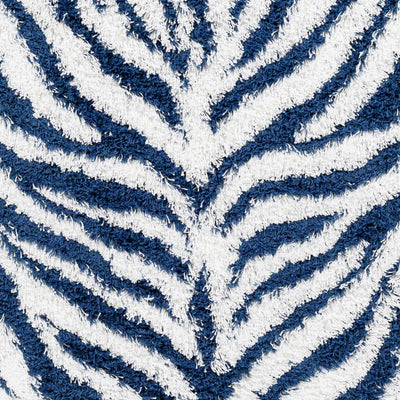 Chaim Zebra Print Shag Area Rug