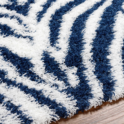 Chaim Zebra Print Shag Area Rug