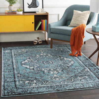 Chase Area Rug - Clearance