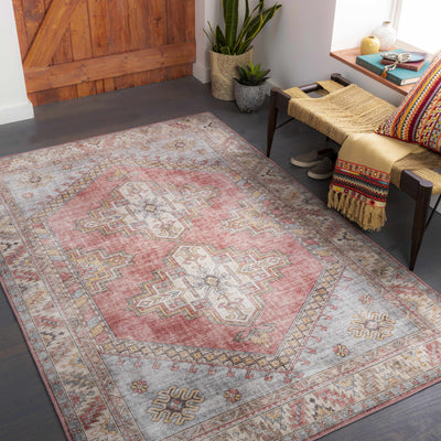 Chadwicks Red Performance Rug