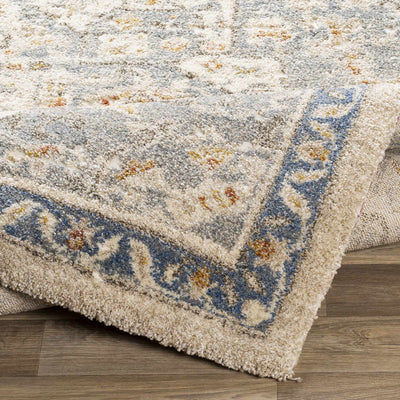 Chesnee Area Rug - Clearance