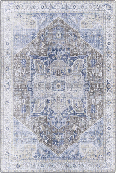 Chappaqua Distressed Thin Rug - Clearance