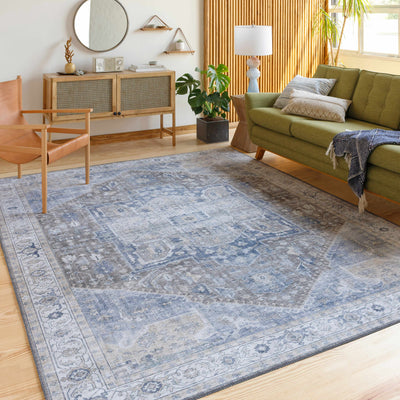 Chappaqua Distressed Thin Rug - Clearance