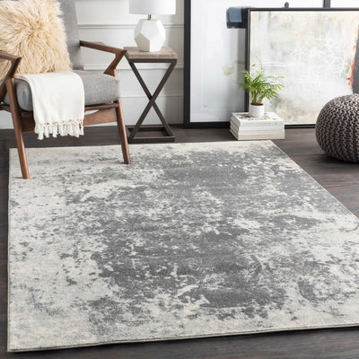 Chriesman 8x10 Black/Beige Abstract Rug - Clearance