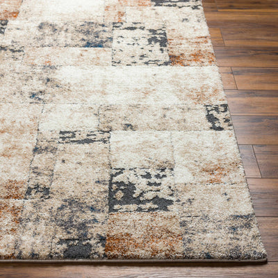 Chitt Area Rug