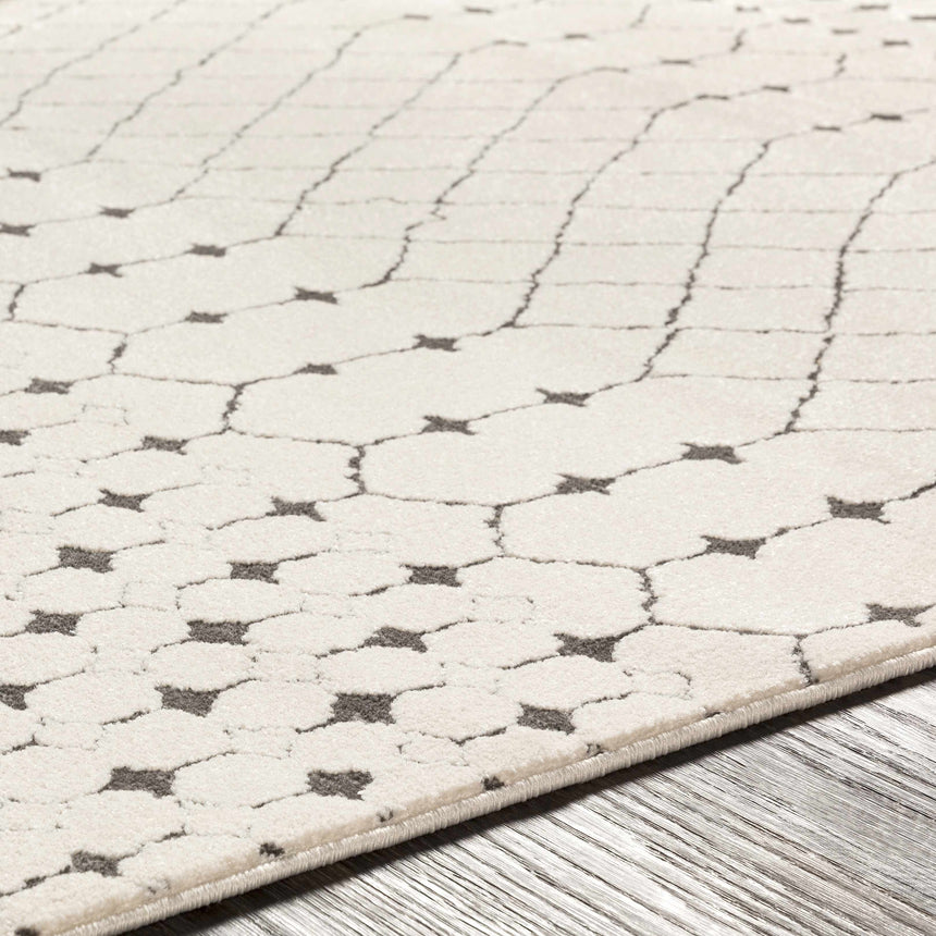 Chubbuck Moroccan Trellis Rug - Clearance