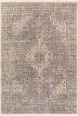 Akio Gray  Area Rug - Clearance